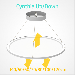 Cynthia Up & Down