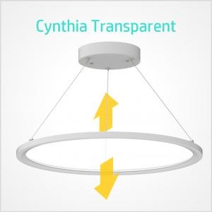 Cynthia Transparent