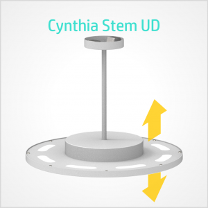 Cynthia UD Stem